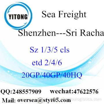 Shenzhen Port Sea Freight Shipping To Sri Racha